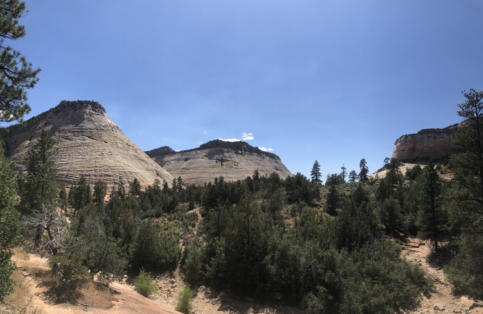 Zion National Park, Utah photo 13
