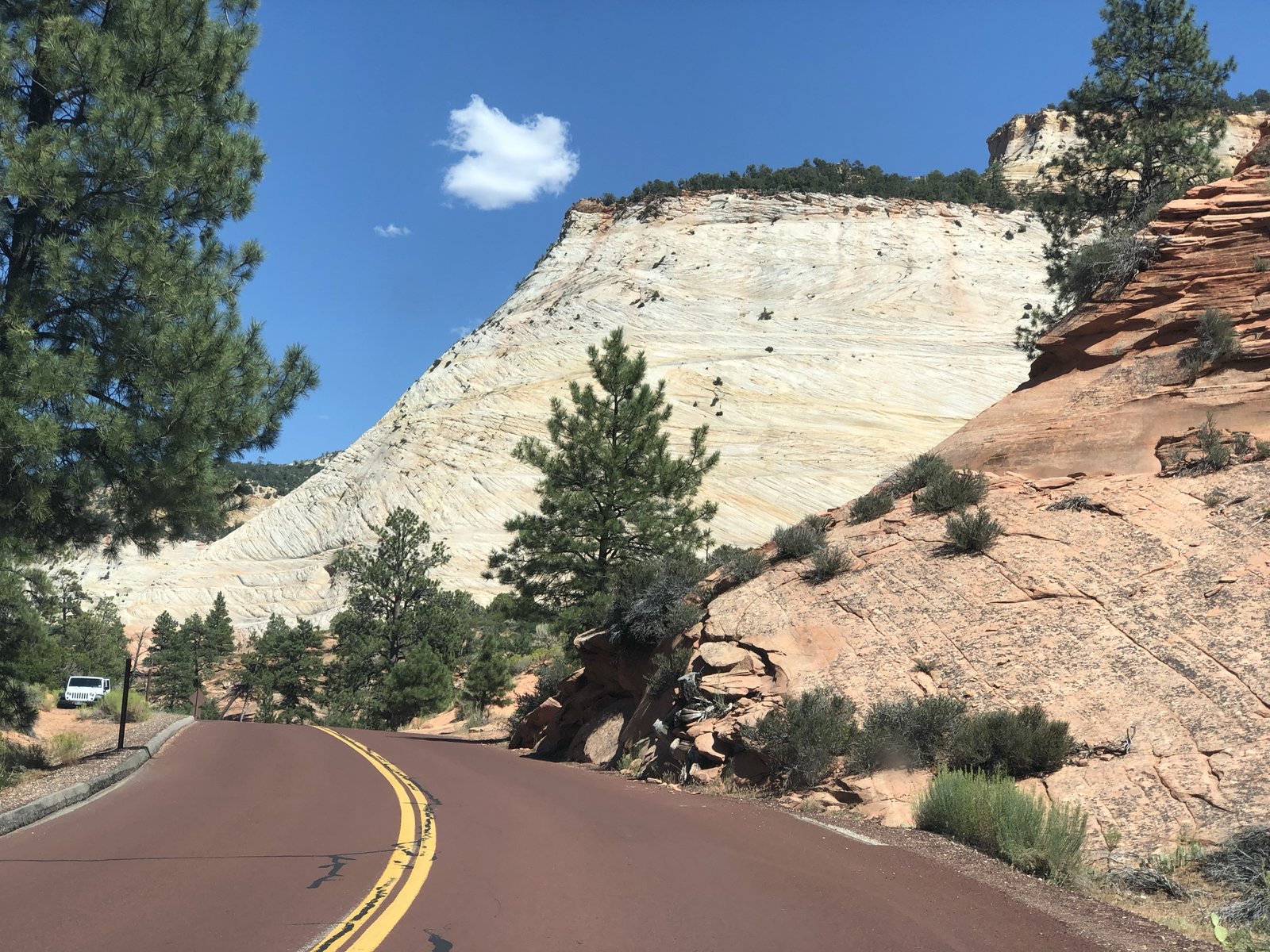 Zion National Park, Utah photo 16