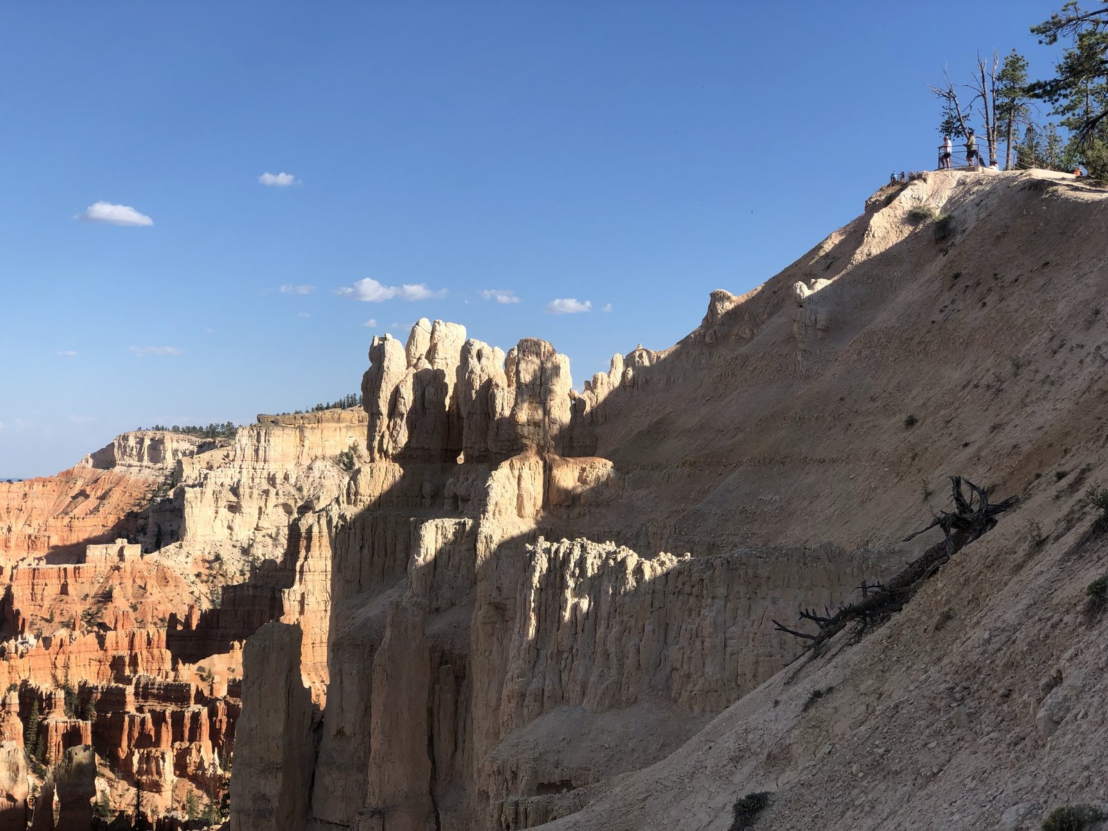 Zion National Park, Utah photo 17