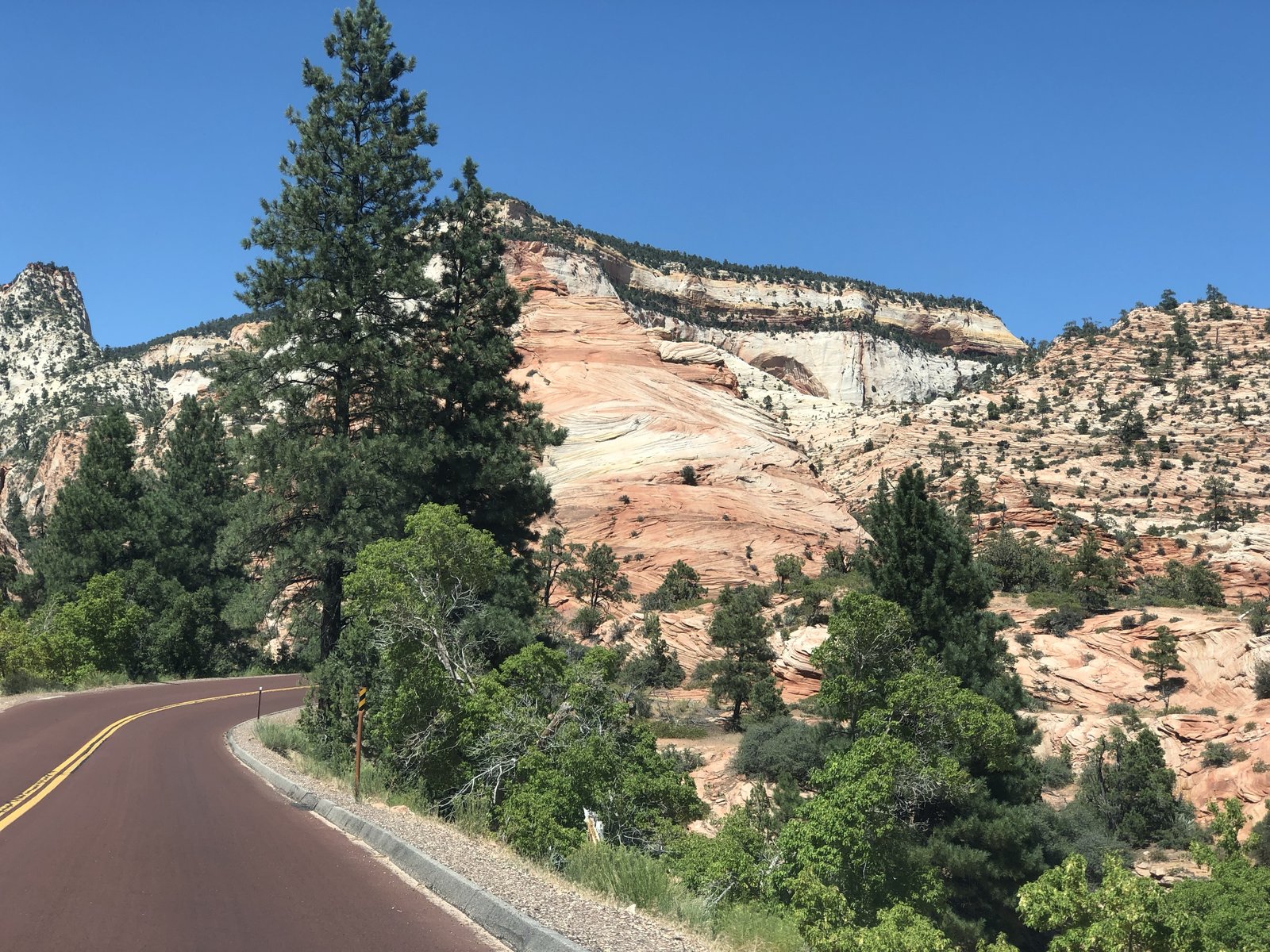 Zion National Park, Utah photo 18