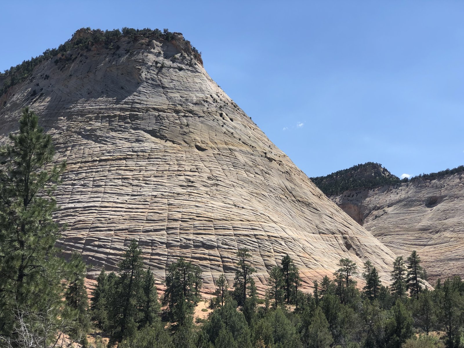 Zion National Park, Utah photo 22