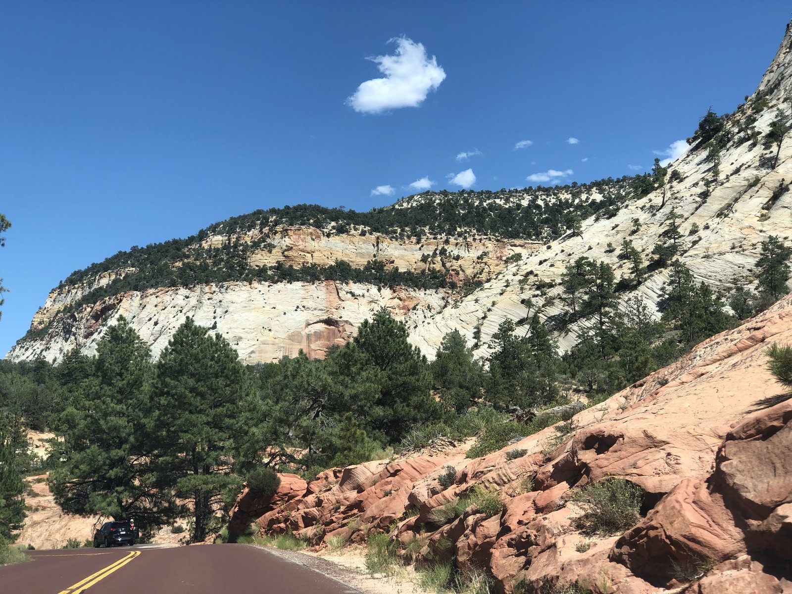 Zion National Park, Utah photo 23