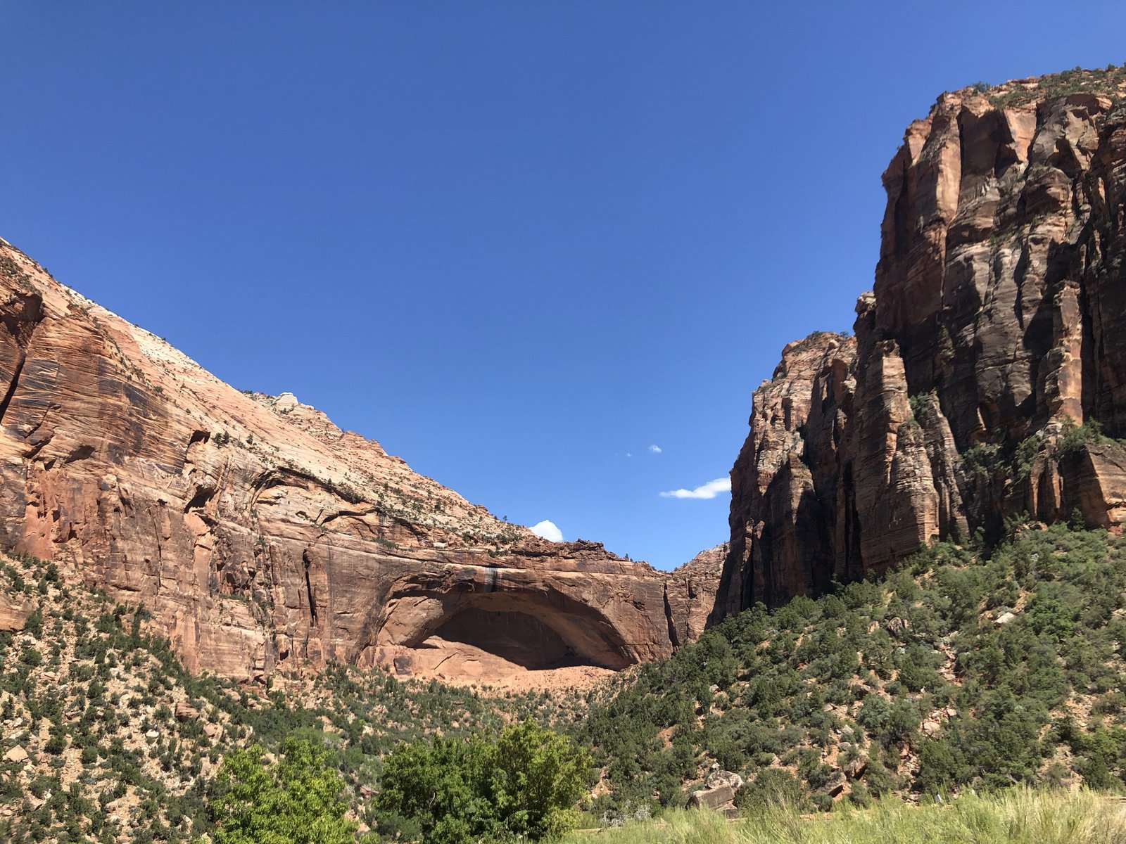Zion National Park, Utah photo 28