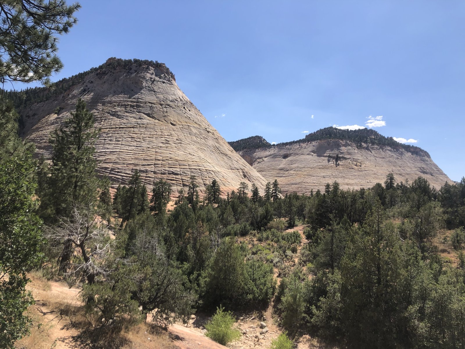 Zion National Park, Utah photo 37
