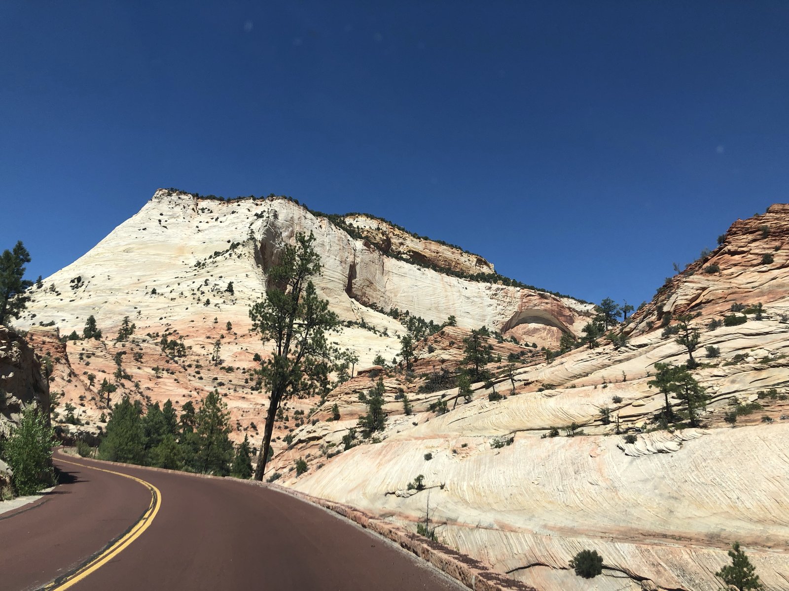 Zion National Park, Utah photo 38