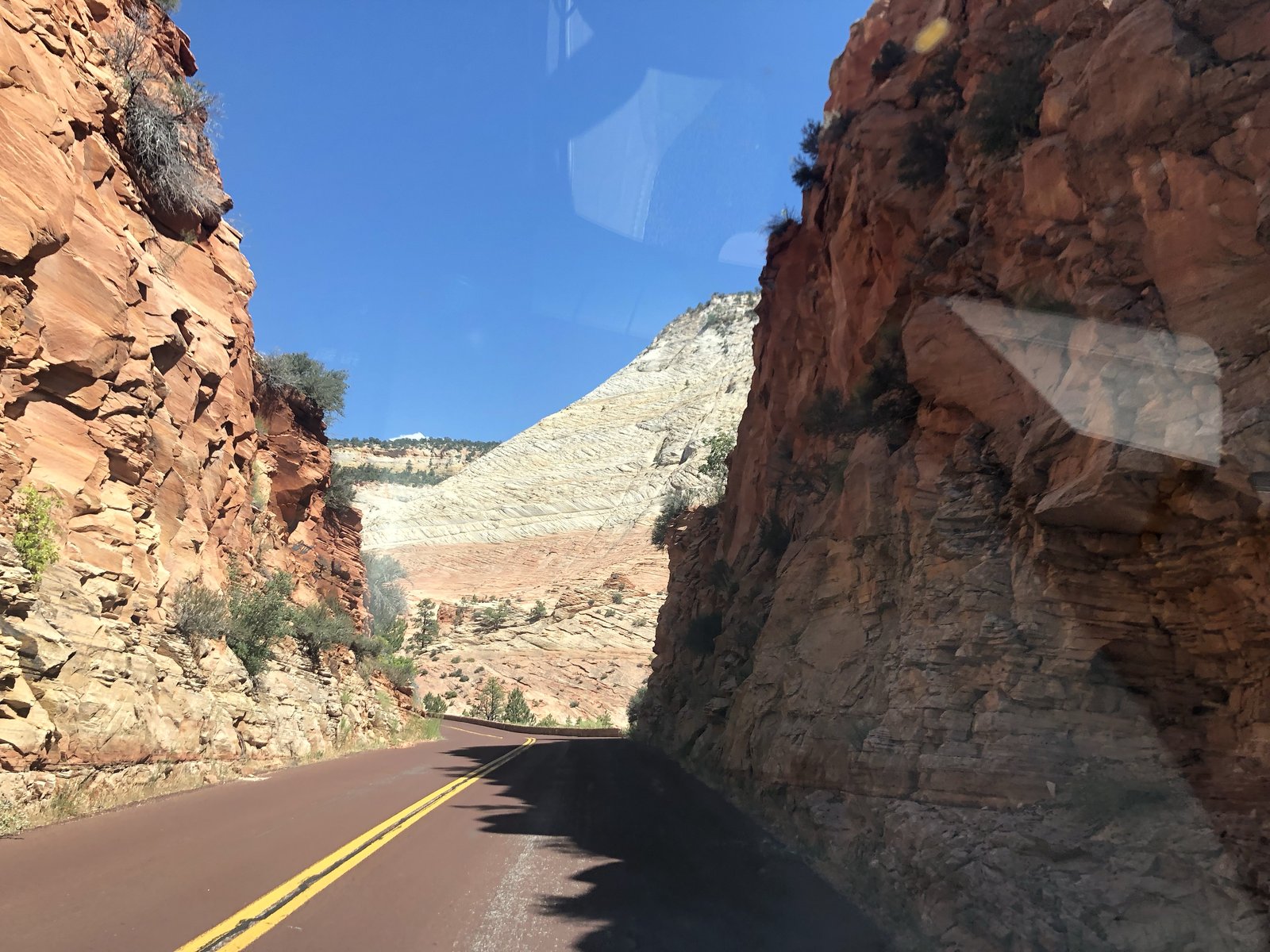 Zion National Park, Utah photo 39