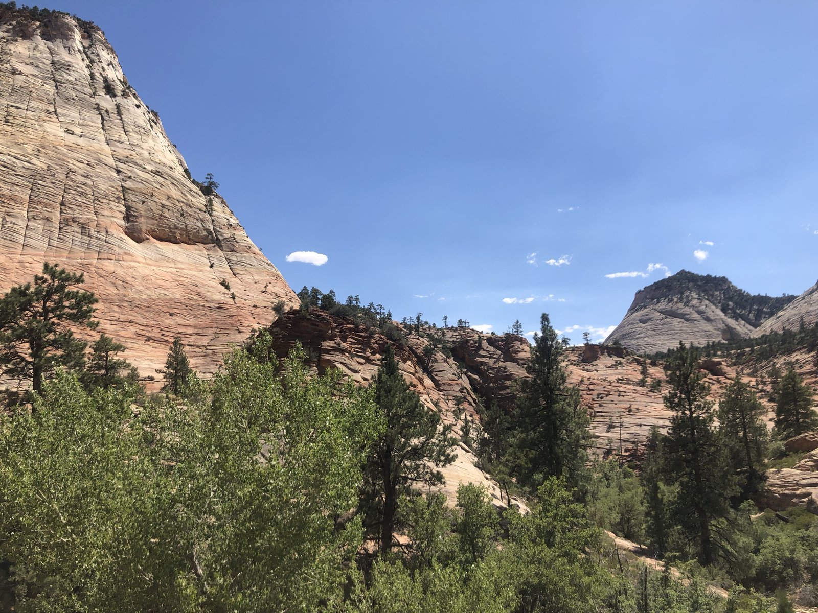 Zion National Park, Utah photo 40